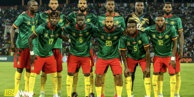 Equipe nationale du camerounaise - IBS News