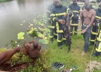 Yamoussoukro un homme sauve des caimans