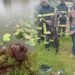 Yamoussoukro un homme sauve des caimans