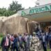 Africa N°1